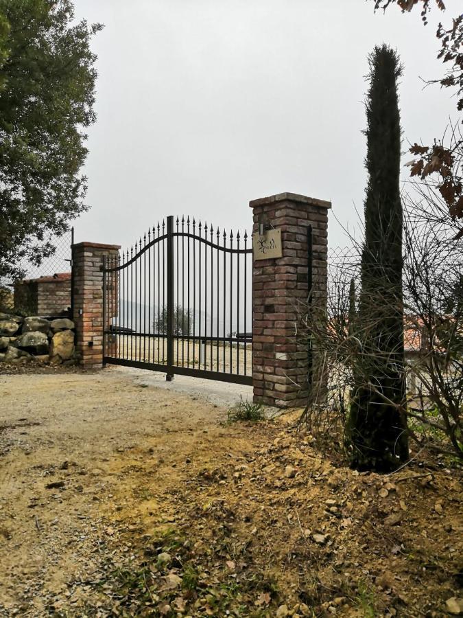 Di Colle In Colle - Country House With Private Pool トゥオーロ・スル・トラジメーノ エクステリア 写真